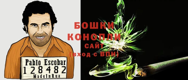 jwh Ельня
