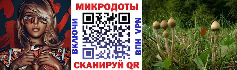 что такое наркотик  Ирбит  Галлюциногенные грибы MAGIC MUSHROOMS 